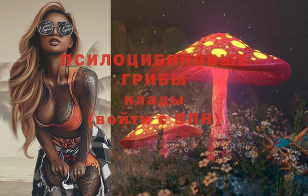 мет Гусев