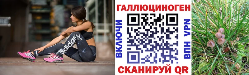 mega ONION  Новосокольники  Псилоцибиновые грибы GOLDEN TEACHER 